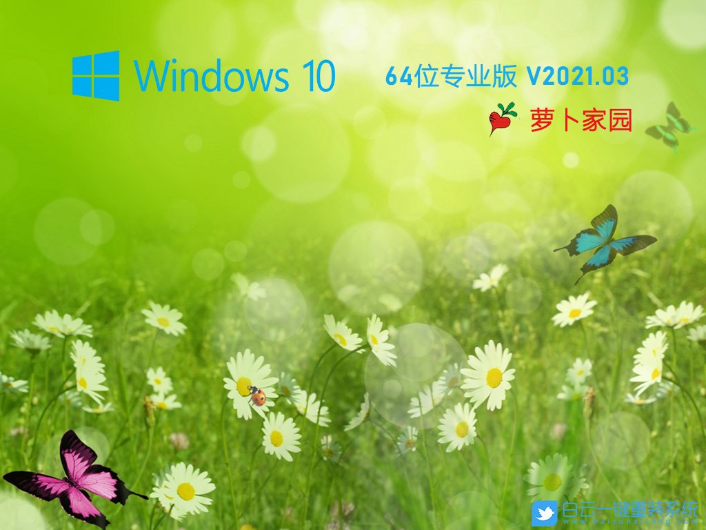 蘿卜家園 Ghost Win10 x64 純凈專業(yè)版 V2021.03 安裝圖集