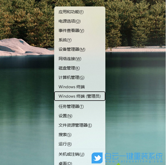 Win11,微軟應用商店,應用商店打不開步驟