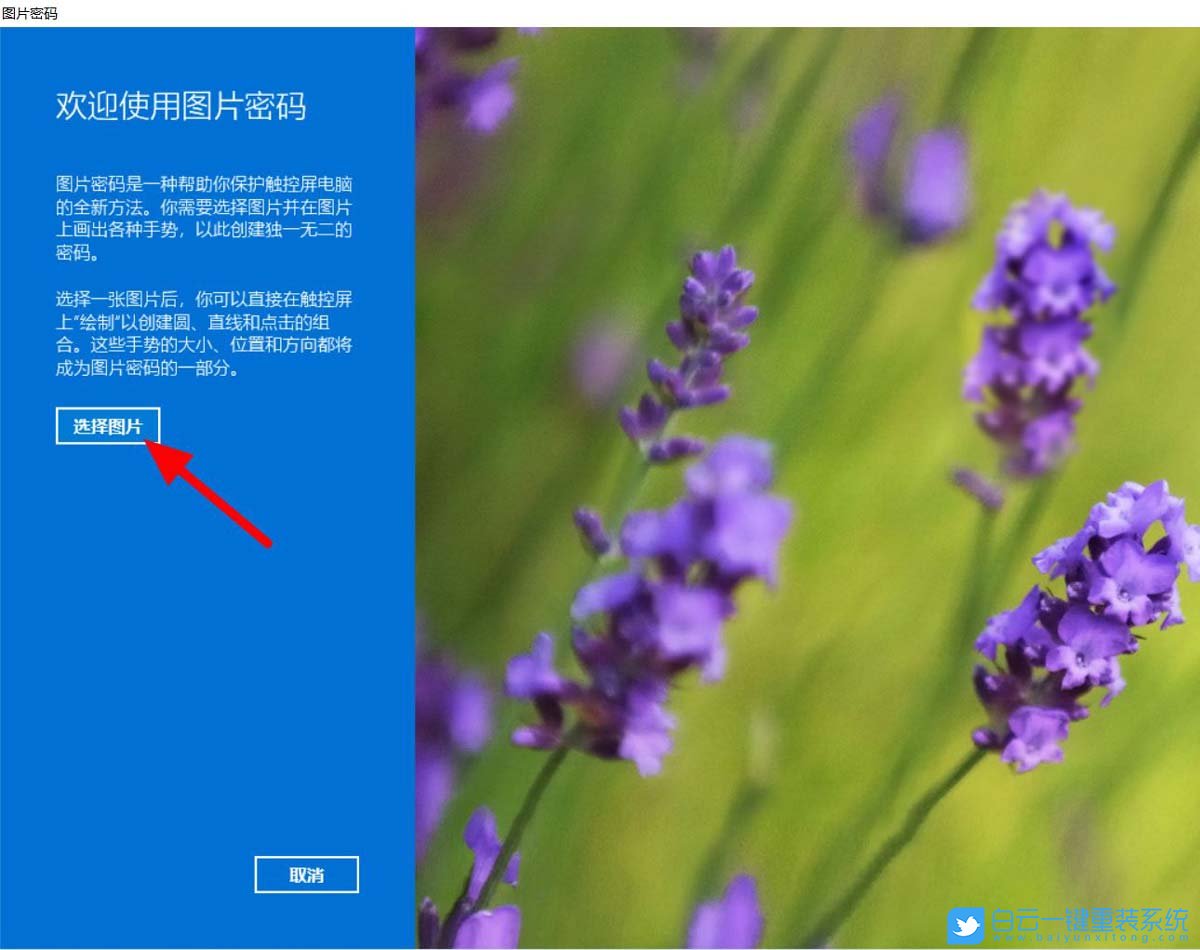 神舟戰神,筆記本重裝系統,Win11步驟